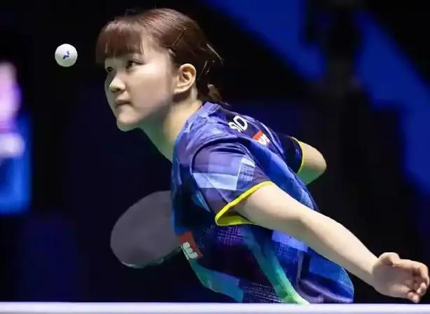 也许会出现 也许会出现