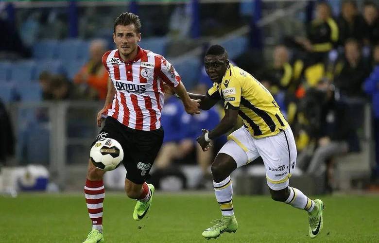 法国女排的 法国女排的